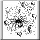 spaceweb.gif